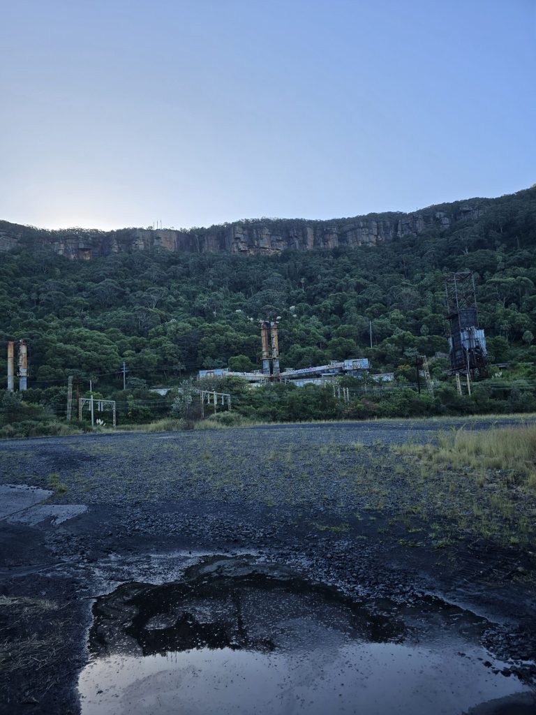 Coal loader