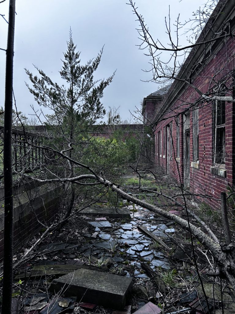 Glenndale hospital