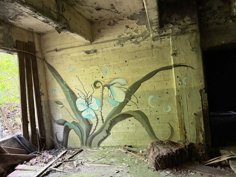 Abandoned Factory / Mines