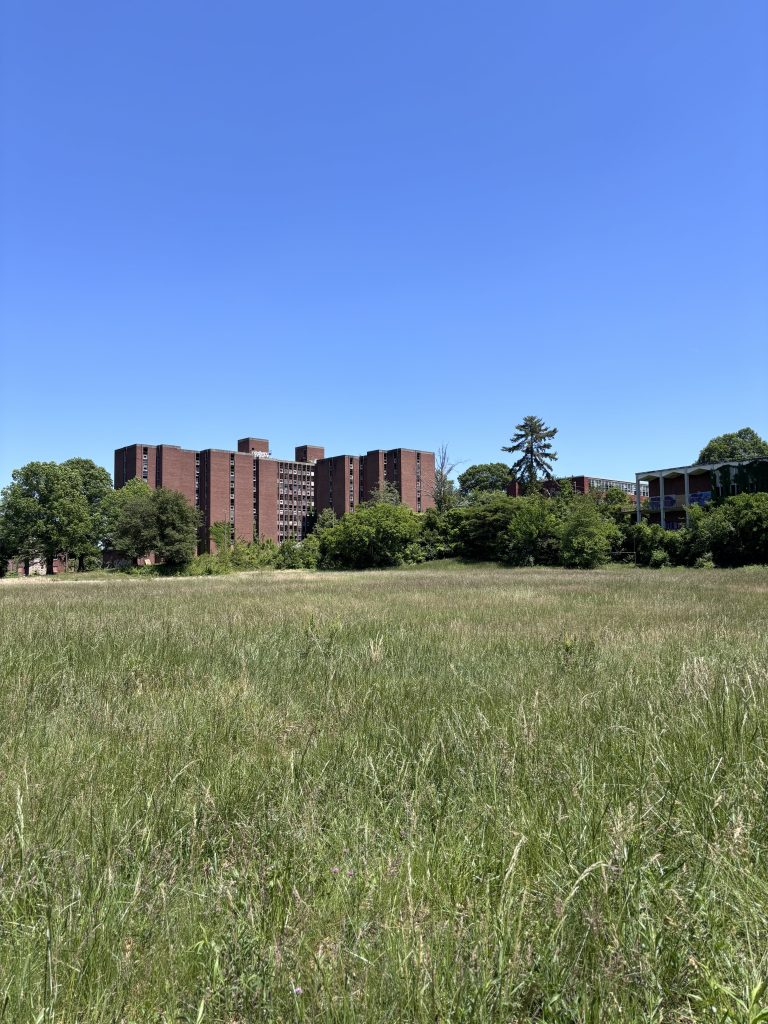 Knoxville college
