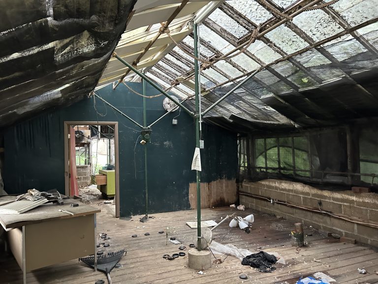 Abandoned Green House