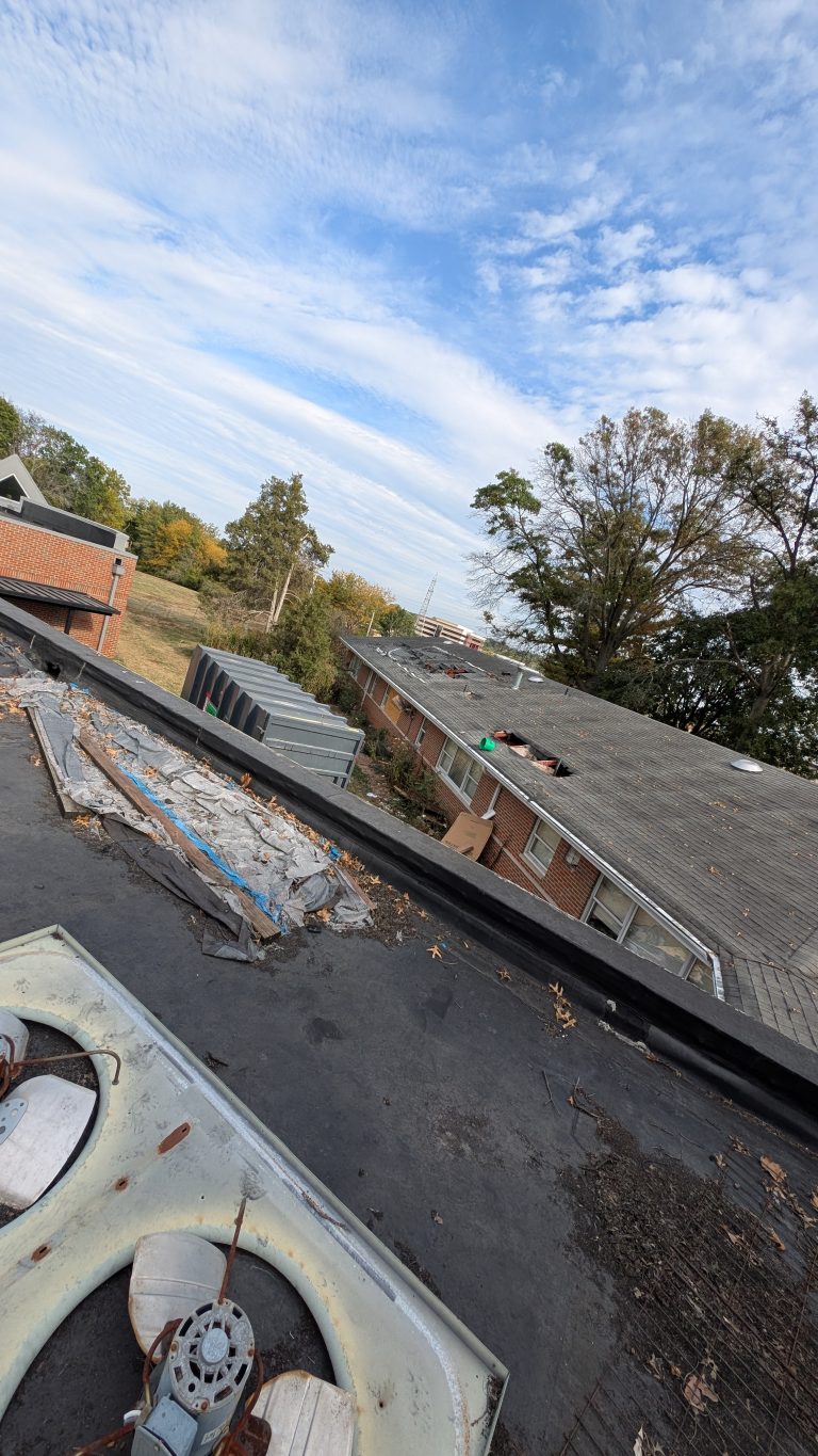HavenHouse STL