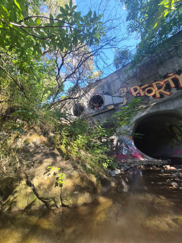 Elevated and ground level tunnels