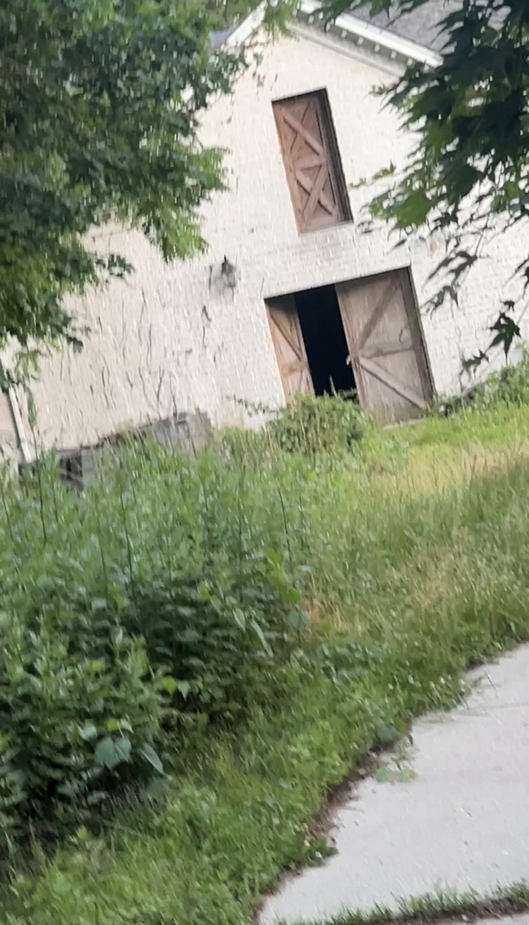 Mafia House