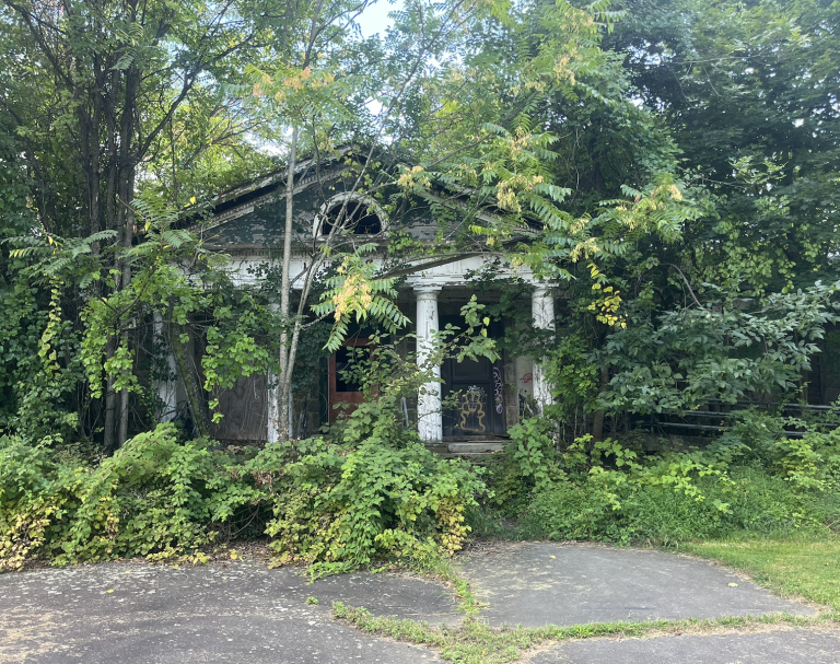 asylum and orphanage