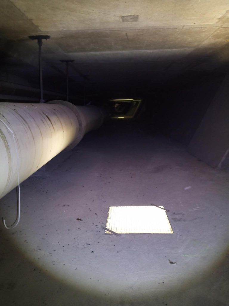 tunnels underneath highway (pigeon spawnpoint)