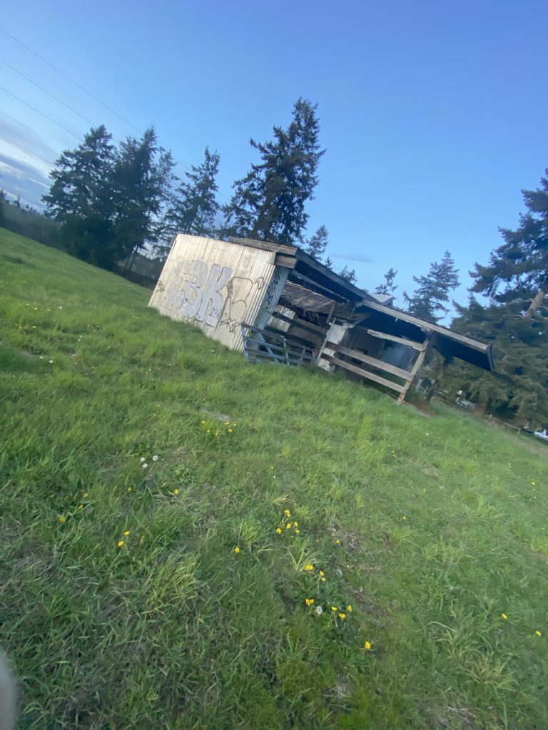 Abandoned Shed