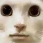 Profile picture of @frexplorer
