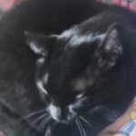 Profile picture of Payton