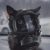 Profile photo of GuyHere