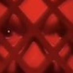 Profile picture of BEANZ