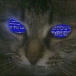 Profile picture of @thecat