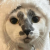 Profile photo of S27KLUB