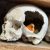 Profile photo of roamingmortician