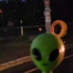 Profile picture of Zømɓıə_ɣůŧ§