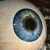 Profile photo of IFindBandos