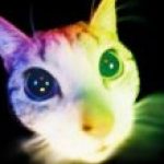 Profile picture of @notgiulia03