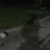 Profile picture of Sensor.lilness