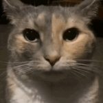 Profile picture of Kel