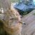 Profile photo of sybau2137