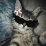Profile picture of @chii