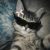 Profile picture of chii