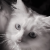 Profile photo of Wherestherainivy