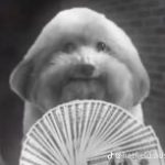 Profile picture of @grantic